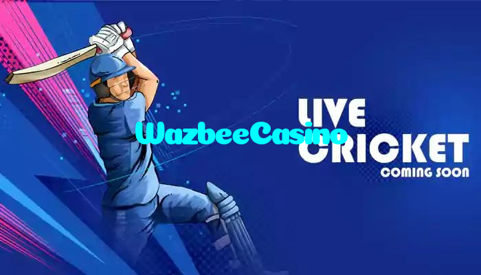 WazbeeCasino casino presented on mobile device in Pakistan with slots and live games